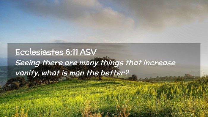 Picture 02 - Ecclesiastes 6:11 ASV Desktop Wallpaper - Seeing there are many things that increase - Desktop Bible Verse Wallpaper
