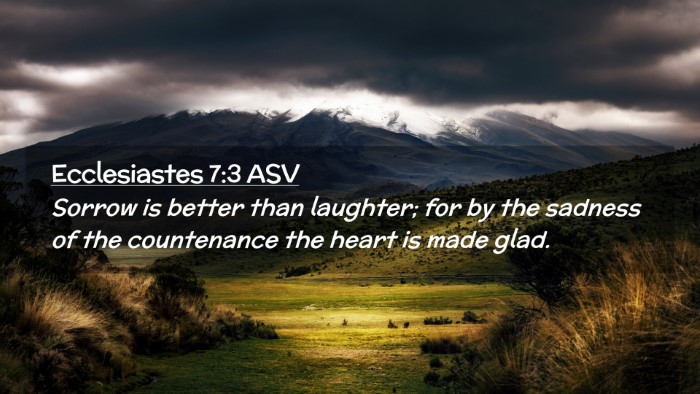 Picture 02 - Ecclesiastes 7:3 ASV Desktop Wallpaper - Sorrow is better than laughter; for by the - Desktop Bible Verse Wallpaper