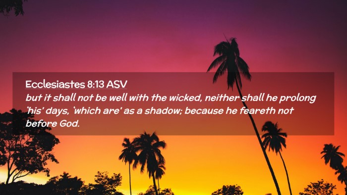 Picture 02 - Ecclesiastes 8:13 ASV Desktop Wallpaper - but it shall not be well with the wicked, neither - Desktop Bible Verse Wallpaper