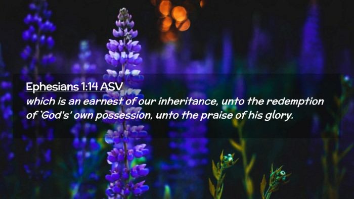 Picture 02 - Ephesians 1:14 ASV Desktop Wallpaper - which is an earnest of our inheritance, unto the - Desktop Bible Verse Wallpaper