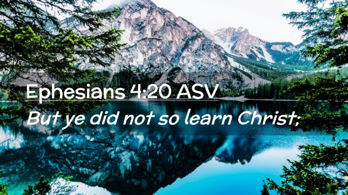 Picture 02 - Ephesians 4:20 ASV Desktop Wallpaper - But ye did not so learn - Desktop Bible Verse Wallpaper