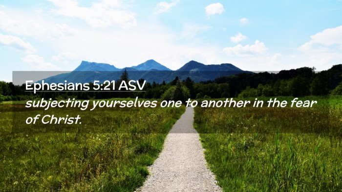 Picture 02 - Ephesians 5:21 ASV Desktop Wallpaper - subjecting yourselves one to another in the fear - Desktop Bible Verse Wallpaper