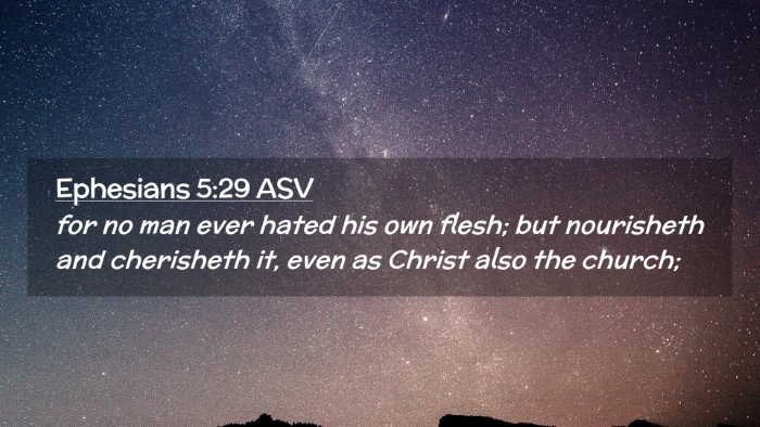 Picture 02 - Ephesians 5:29 ASV Desktop Wallpaper - for no man ever hated his own flesh; but - Desktop Bible Verse Wallpaper