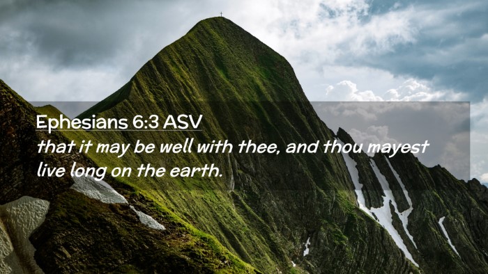 Picture 02 - Ephesians 6:3 ASV Desktop Wallpaper - that it may be well with thee, and thou mayest - Desktop Bible Verse Wallpaper