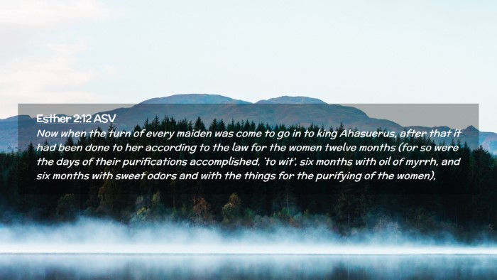 Picture 02 - Esther 2:12 ASV Desktop Wallpaper - Now when the turn of every maiden was come to go - Desktop Bible Verse Wallpaper