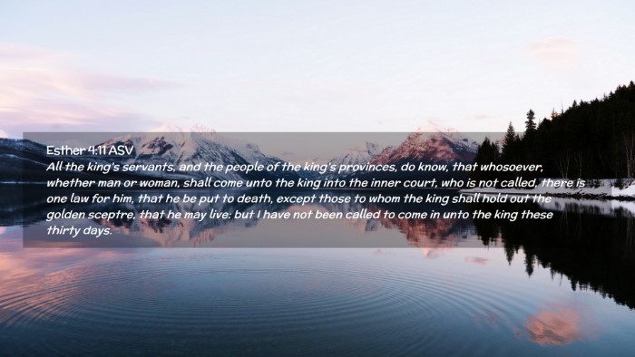 Picture 02 - Esther 4:11 ASV Desktop Wallpaper - All the king's servants, and the people of the - Desktop Bible Verse Wallpaper
