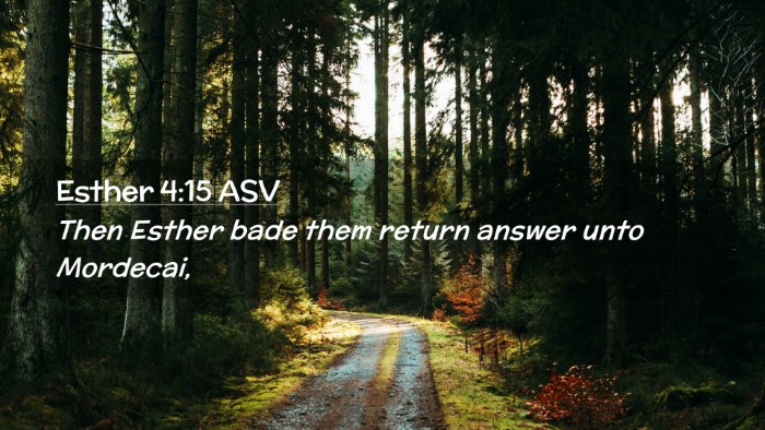 Picture 02 - Esther 4:15 ASV Desktop Wallpaper - Then Esther bade them return answer unto - Desktop Bible Verse Wallpaper