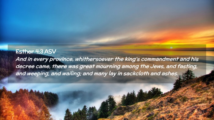 Picture 02 - Esther 4:3 ASV Desktop Wallpaper - And in every province, whithersoever the king's - Desktop Bible Verse Wallpaper