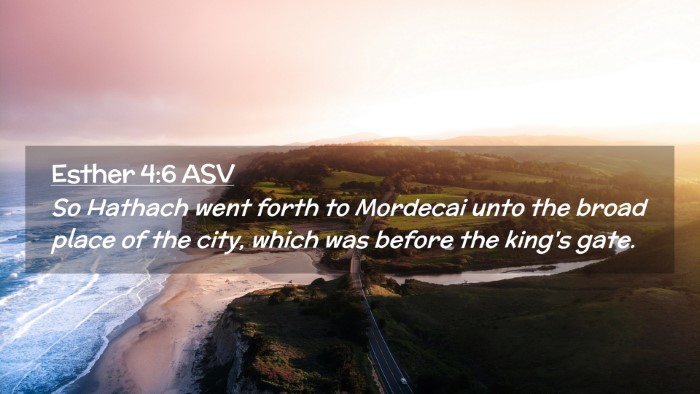 Picture 02 - Esther 4:6 ASV Desktop Wallpaper - So Hathach went forth to Mordecai unto the broad - Desktop Bible Verse Wallpaper