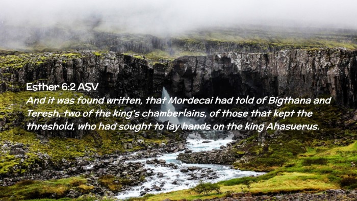 Picture 02 - Esther 6:2 ASV Desktop Wallpaper - And it was found written, that Mordecai had told - Desktop Bible Verse Wallpaper