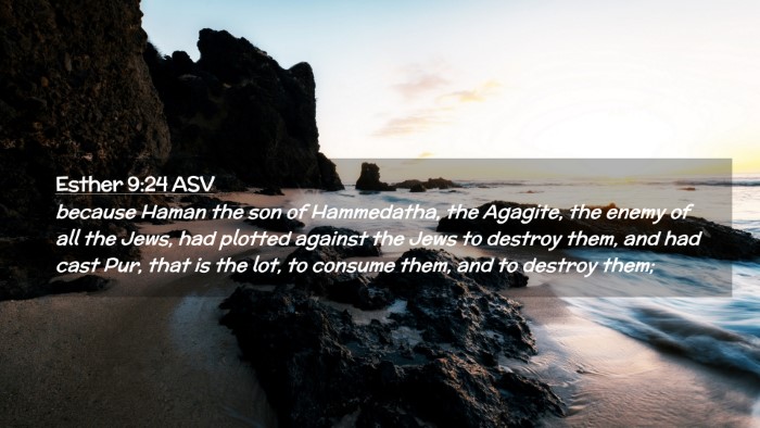 Picture 02 - Esther 9:24 ASV Desktop Wallpaper - because Haman the son of Hammedatha, the Agagite, - Desktop Bible Verse Wallpaper