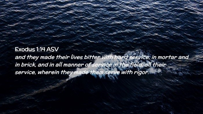 Picture 02 - Exodus 1:14 ASV Desktop Wallpaper - and they made their lives bitter with hard - Desktop Bible Verse Wallpaper