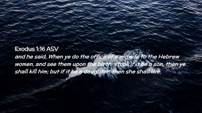 Picture 02 - Exodus 1:16 ASV Desktop Wallpaper - and he said, When ye do the office of a midwife - Desktop Bible Verse Wallpaper