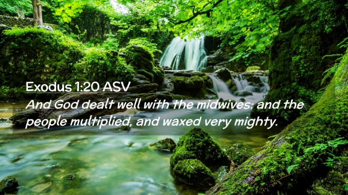 Picture 02 - Exodus 1:20 ASV Desktop Wallpaper - And God dealt well with the midwives: and the - Desktop Bible Verse Wallpaper