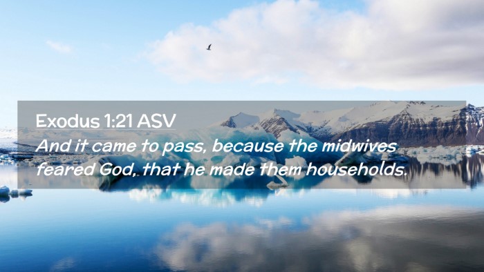 Picture 02 - Exodus 1:21 ASV Desktop Wallpaper - And it came to pass, because the midwives feared - Desktop Bible Verse Wallpaper