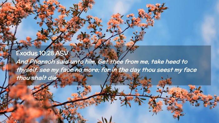 Picture 02 - Exodus 10:28 ASV Desktop Wallpaper - And Pharaoh said unto him, Get thee from me, take - Desktop Bible Verse Wallpaper