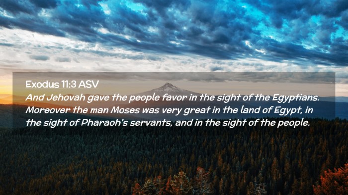 Picture 02 - Exodus 11:3 ASV Desktop Wallpaper - And Jehovah gave the people favor in the sight of - Desktop Bible Verse Wallpaper