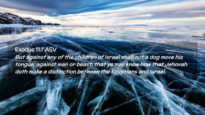 Picture 02 - Exodus 11:7 ASV Desktop Wallpaper - But against any of the children of Israel shall - Desktop Bible Verse Wallpaper