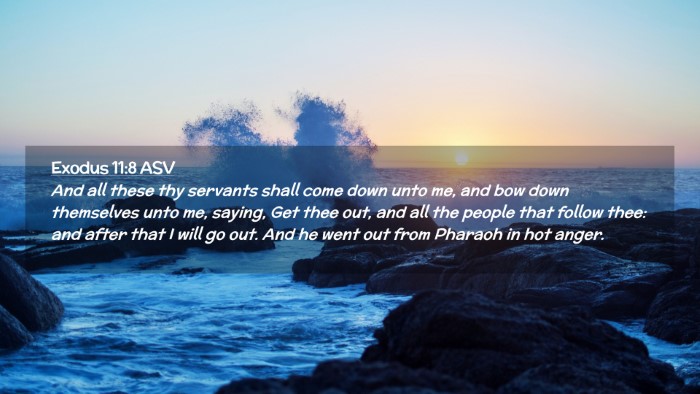 Picture 02 - Exodus 11:8 ASV Desktop Wallpaper - And all these thy servants shall come down unto - Desktop Bible Verse Wallpaper
