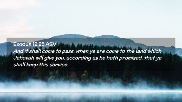 Picture 02 - Exodus 12:25 ASV Desktop Wallpaper - And it shall come to pass, when ye are come to - Desktop Bible Verse Wallpaper
