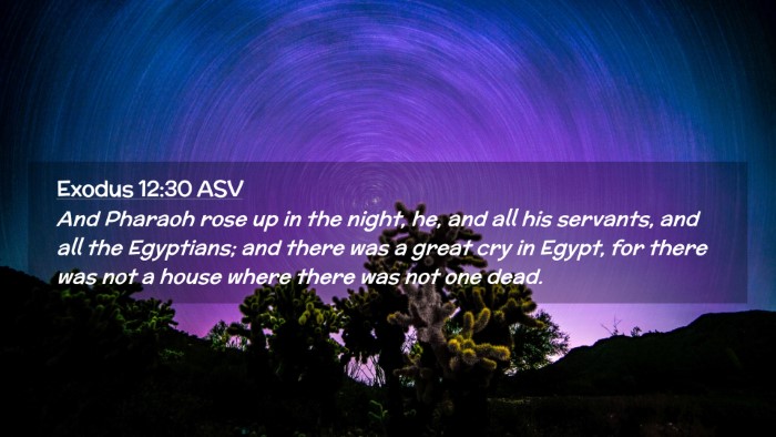 Picture 02 - Exodus 12:30 ASV Desktop Wallpaper - And Pharaoh rose up in the night, he, and all his - Desktop Bible Verse Wallpaper