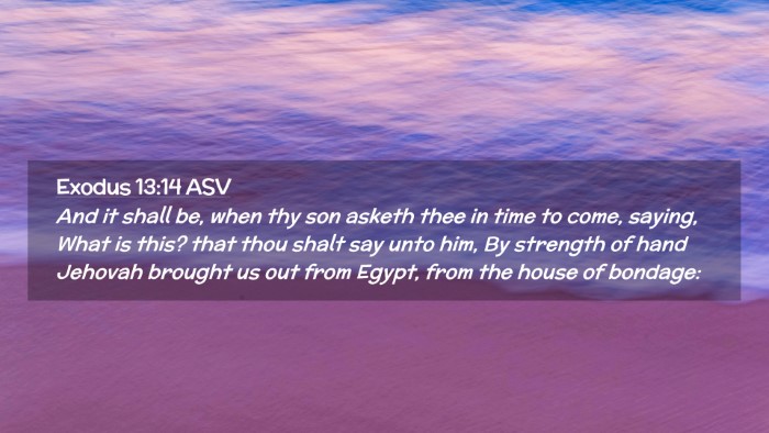 Picture 02 - Exodus 13:14 ASV Desktop Wallpaper - And it shall be, when thy son asketh thee in time - Desktop Bible Verse Wallpaper