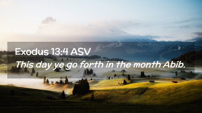 Picture 02 - Exodus 13:4 ASV Desktop Wallpaper - This day ye go forth in the month - Desktop Bible Verse Wallpaper
