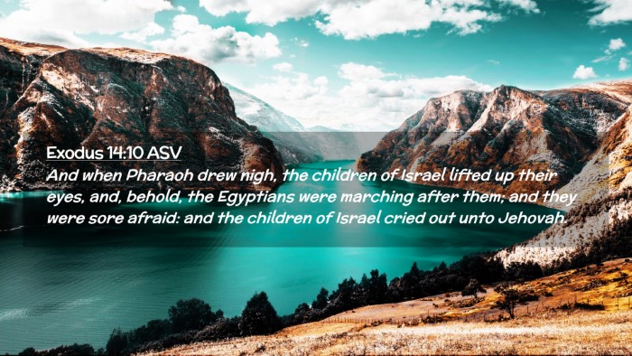 Picture 02 - Exodus 14:10 ASV Desktop Wallpaper - And when Pharaoh drew nigh, the children of - Desktop Bible Verse Wallpaper