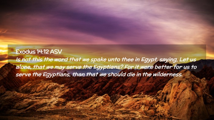 Picture 02 - Exodus 14:12 ASV Desktop Wallpaper - Is not this the word that we spake unto thee in - Desktop Bible Verse Wallpaper