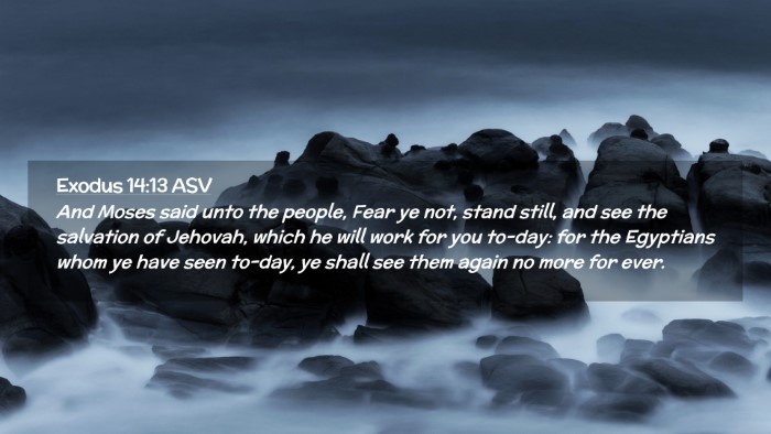 Picture 02 - Exodus 14:13 ASV Desktop Wallpaper - And Moses said unto the people, Fear ye not, - Desktop Bible Verse Wallpaper