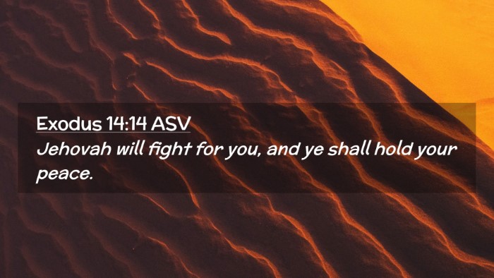 Picture 02 - Exodus 14:14 ASV Desktop Wallpaper - Jehovah will fight for you, and ye shall hold - Desktop Bible Verse Wallpaper