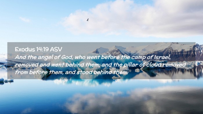 Picture 02 - Exodus 14:19 ASV Desktop Wallpaper - And the angel of God, who went before the camp of - Desktop Bible Verse Wallpaper
