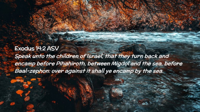 Picture 02 - Exodus 14:2 ASV Desktop Wallpaper - Speak unto the children of Israel, that they turn - Desktop Bible Verse Wallpaper