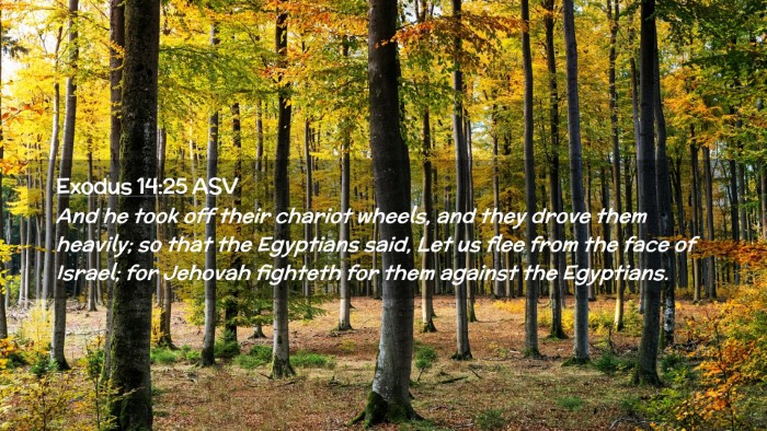 Picture 02 - Exodus 14:25 ASV Desktop Wallpaper - And he took off their chariot wheels, and they - Desktop Bible Verse Wallpaper