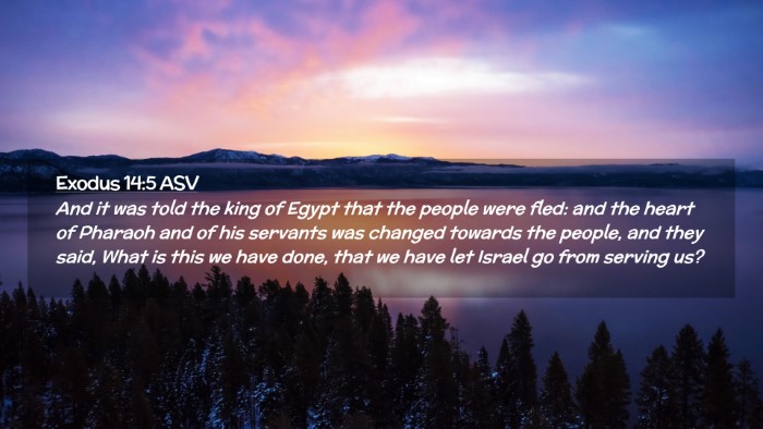 Picture 02 - Exodus 14:5 ASV Desktop Wallpaper - And it was told the king of Egypt that the people - Desktop Bible Verse Wallpaper