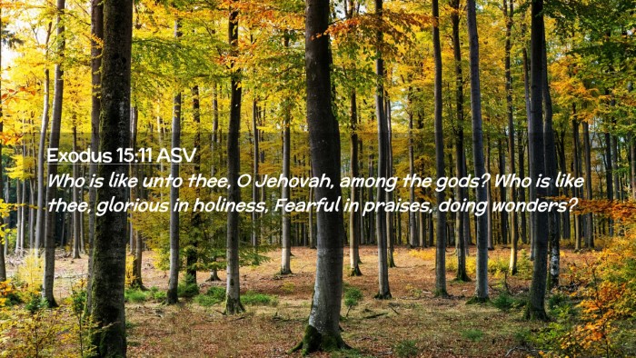 Picture 02 - Exodus 15:11 ASV Desktop Wallpaper - Who is like unto thee, O Jehovah, among the gods? - Desktop Bible Verse Wallpaper