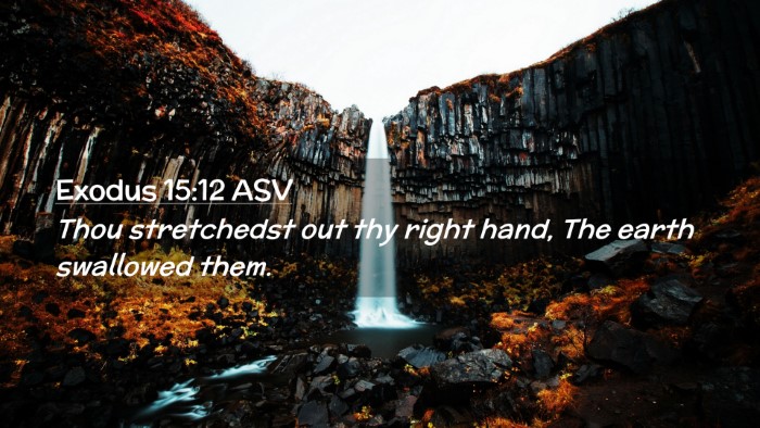 Picture 02 - Exodus 15:12 ASV Desktop Wallpaper - Thou stretchedst out thy right hand, The earth - Desktop Bible Verse Wallpaper