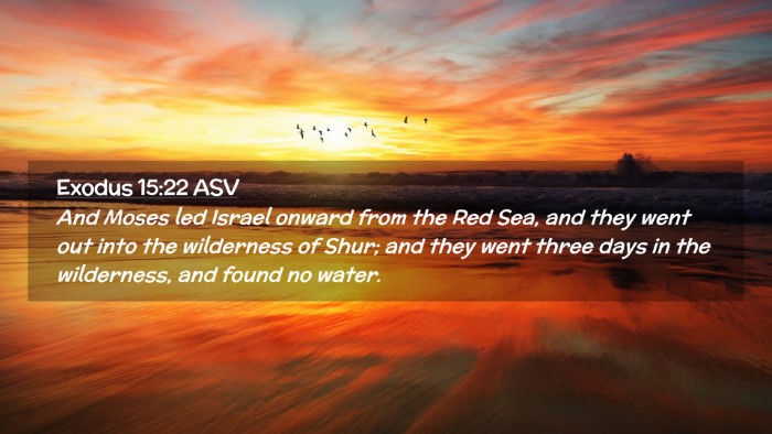 Picture 02 - Exodus 15:22 ASV Desktop Wallpaper - And Moses led Israel onward from the Red Sea, and - Desktop Bible Verse Wallpaper
