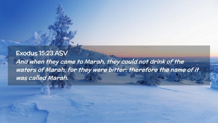 Picture 02 - Exodus 15:23 ASV Desktop Wallpaper - And when they came to Marah, they could not drink - Desktop Bible Verse Wallpaper