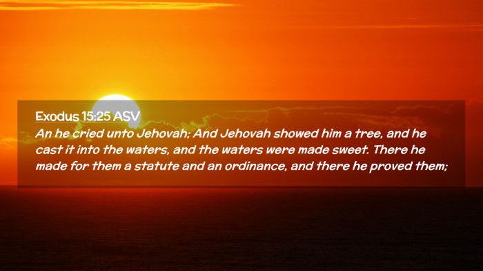 Picture 02 - Exodus 15:25 ASV Desktop Wallpaper - An he cried unto Jehovah; And Jehovah showed him - Desktop Bible Verse Wallpaper