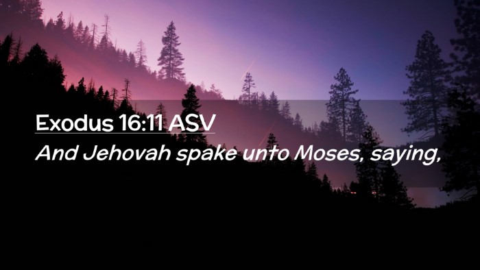 Picture 02 - Exodus 16:11 ASV Desktop Wallpaper - And Jehovah spake unto Moses, - Desktop Bible Verse Wallpaper