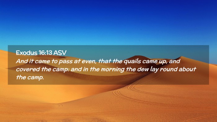 Picture 02 - Exodus 16:13 ASV Desktop Wallpaper - And it came to pass at even, that the quails came - Desktop Bible Verse Wallpaper