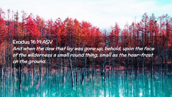 Picture 02 - Exodus 16:14 ASV Desktop Wallpaper - And when the dew that lay was gone up, behold, - Desktop Bible Verse Wallpaper