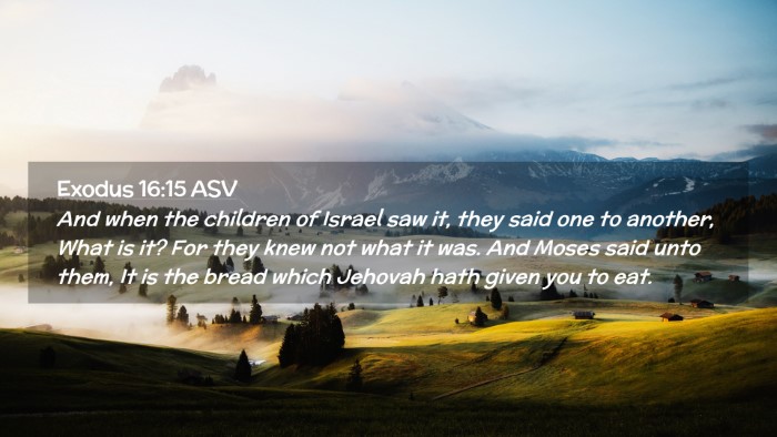 Picture 02 - Exodus 16:15 ASV Desktop Wallpaper - And when the children of Israel saw it, they said - Desktop Bible Verse Wallpaper