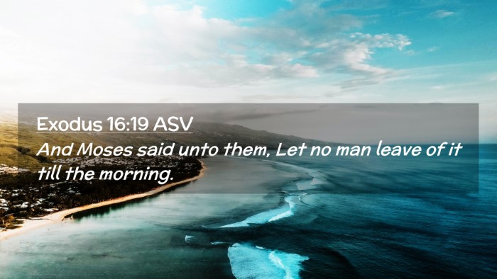 Picture 02 - Exodus 16:19 ASV Desktop Wallpaper - And Moses said unto them, Let no man leave of it - Desktop Bible Verse Wallpaper
