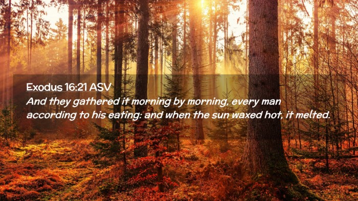 Picture 02 - Exodus 16:21 ASV Desktop Wallpaper - And they gathered it morning by morning, every - Desktop Bible Verse Wallpaper