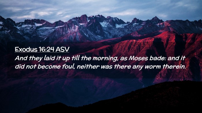 Picture 02 - Exodus 16:24 ASV Desktop Wallpaper - And they laid it up till the morning, as Moses - Desktop Bible Verse Wallpaper