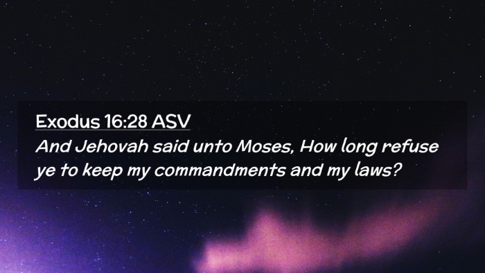Picture 02 - Exodus 16:28 ASV Desktop Wallpaper - And Jehovah said unto Moses, How long refuse ye - Desktop Bible Verse Wallpaper