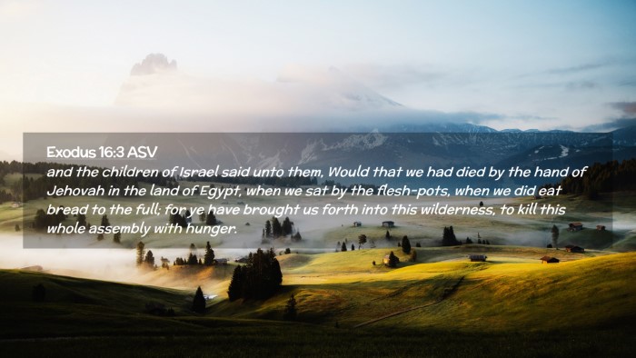 Picture 02 - Exodus 16:3 ASV Desktop Wallpaper - and the children of Israel said unto them, Would - Desktop Bible Verse Wallpaper