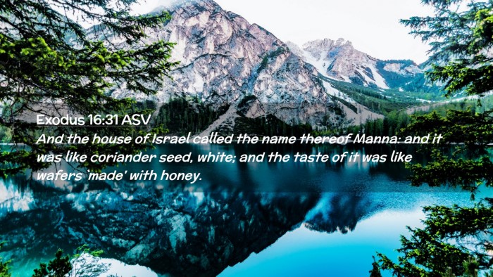 Picture 02 - Exodus 16:31 ASV Desktop Wallpaper - And the house of Israel called the name thereof - Desktop Bible Verse Wallpaper